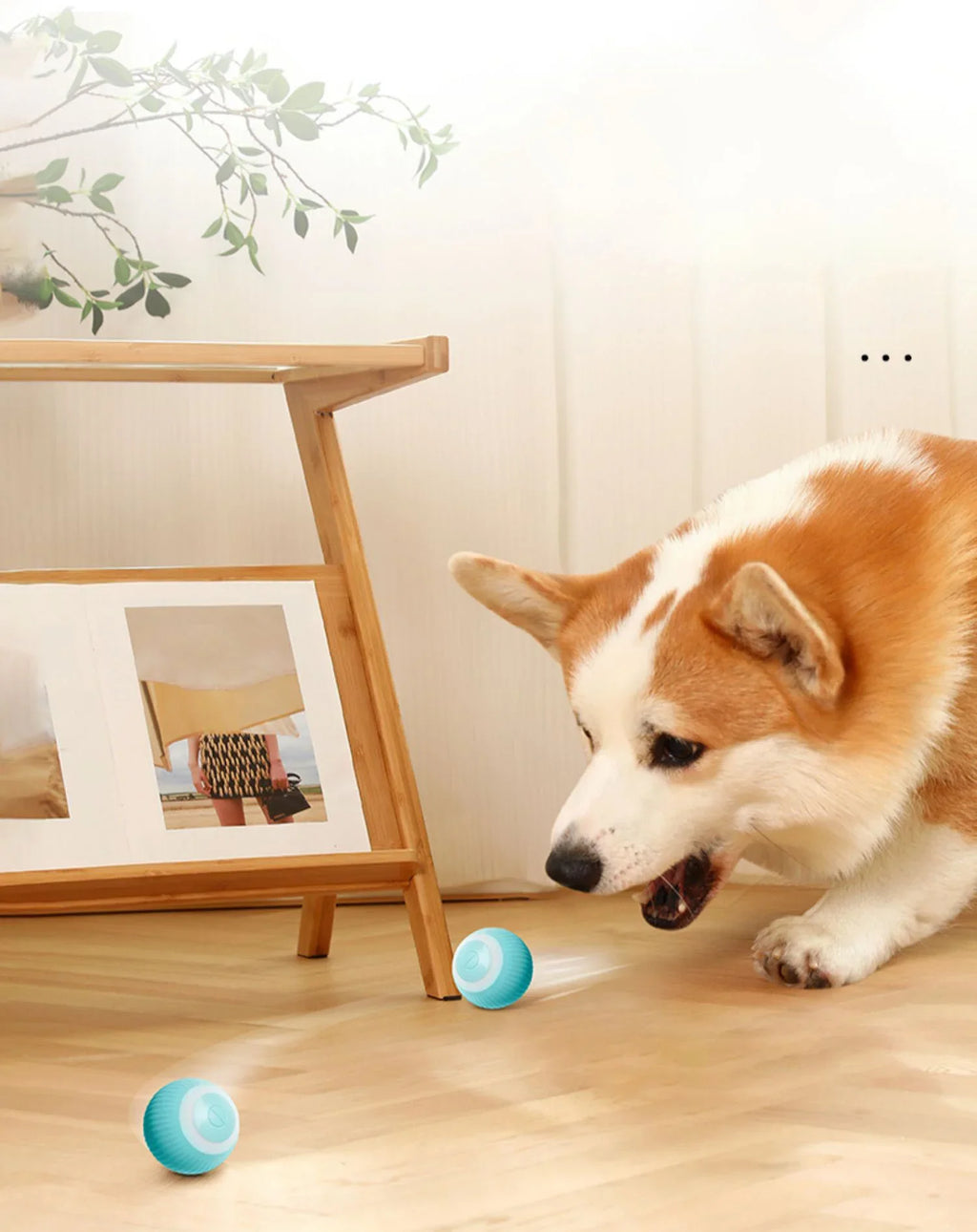 Smart Puppy Ball Toy