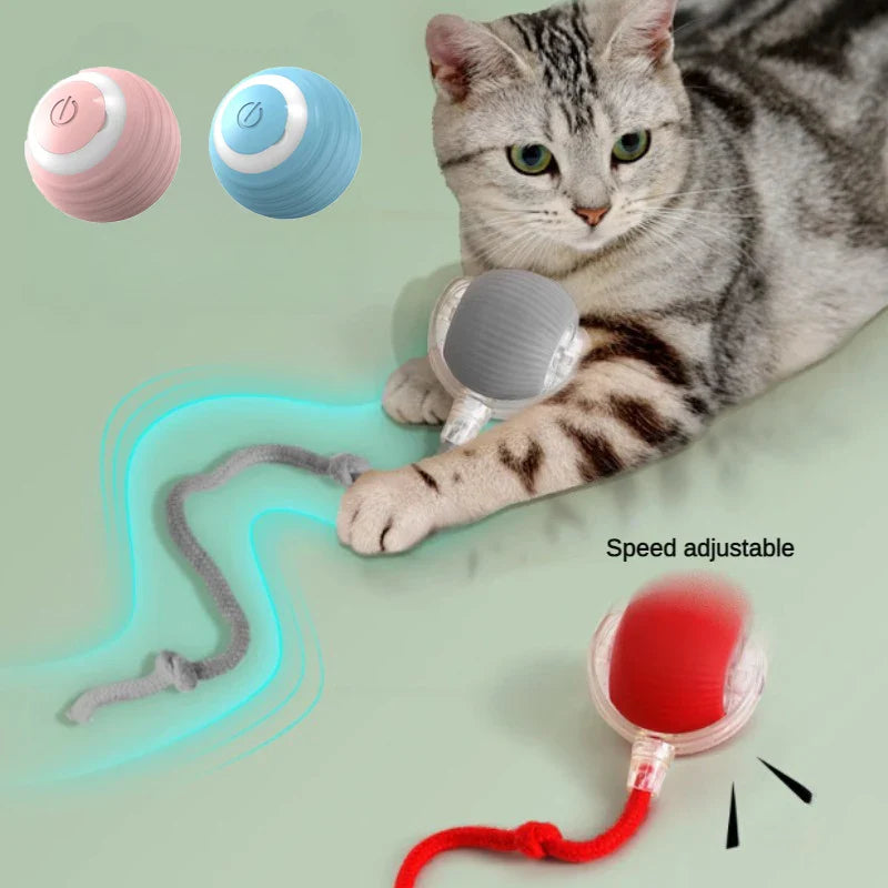 Electric Auto-Rolling Cat Ball Toy