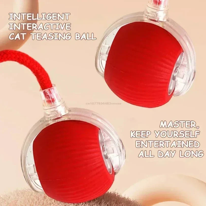 Interactive Auto-Rolling Pet Ball Toy