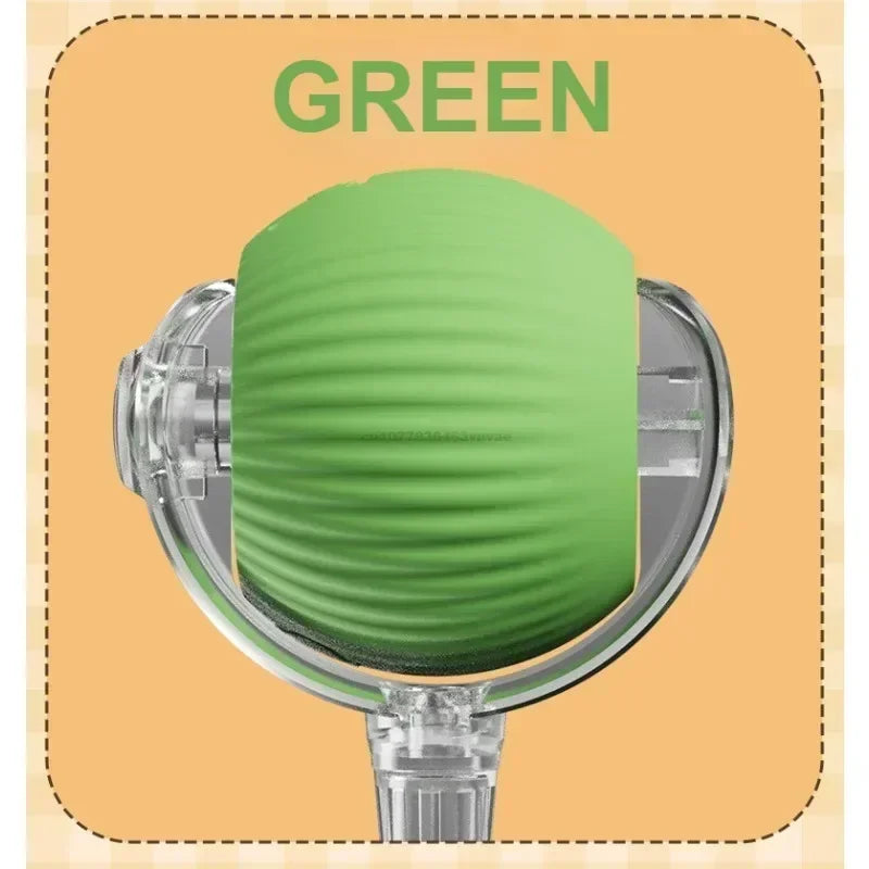 Interactive Auto-Rolling Pet Ball Toy
