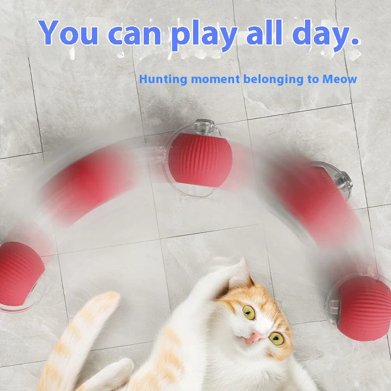 Electric Auto-Rolling Cat Ball Toy