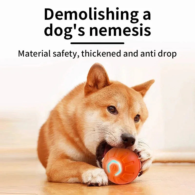 Smart Dog Ball Treat-Dispensing Toy