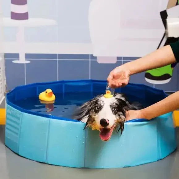 PVC Foldable Pet Pool