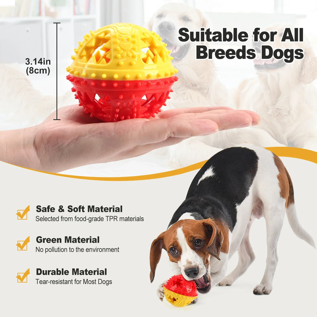 Dog Squeaky Chew Ball