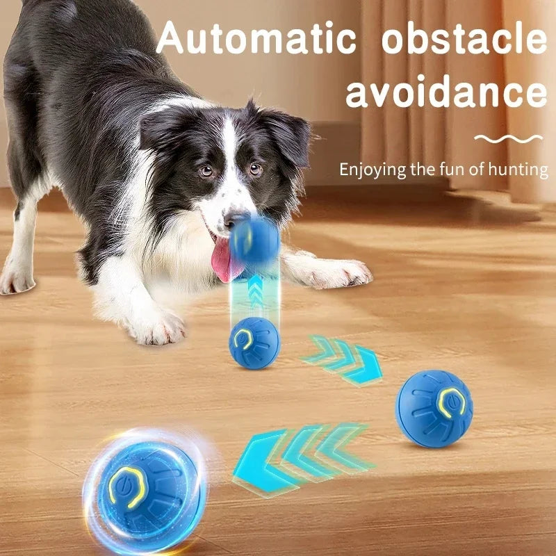 Smart Dog Ball Treat-Dispensing Toy