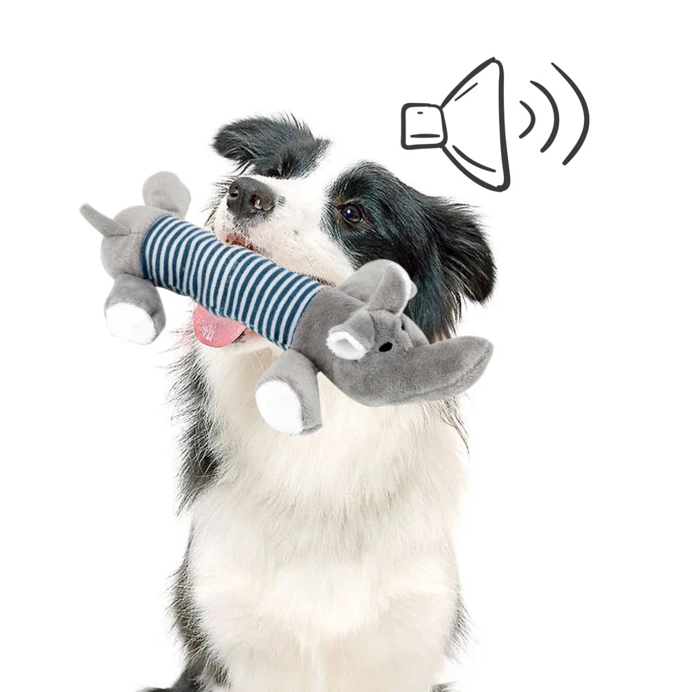 Squeaky Dog Plush Toy Set