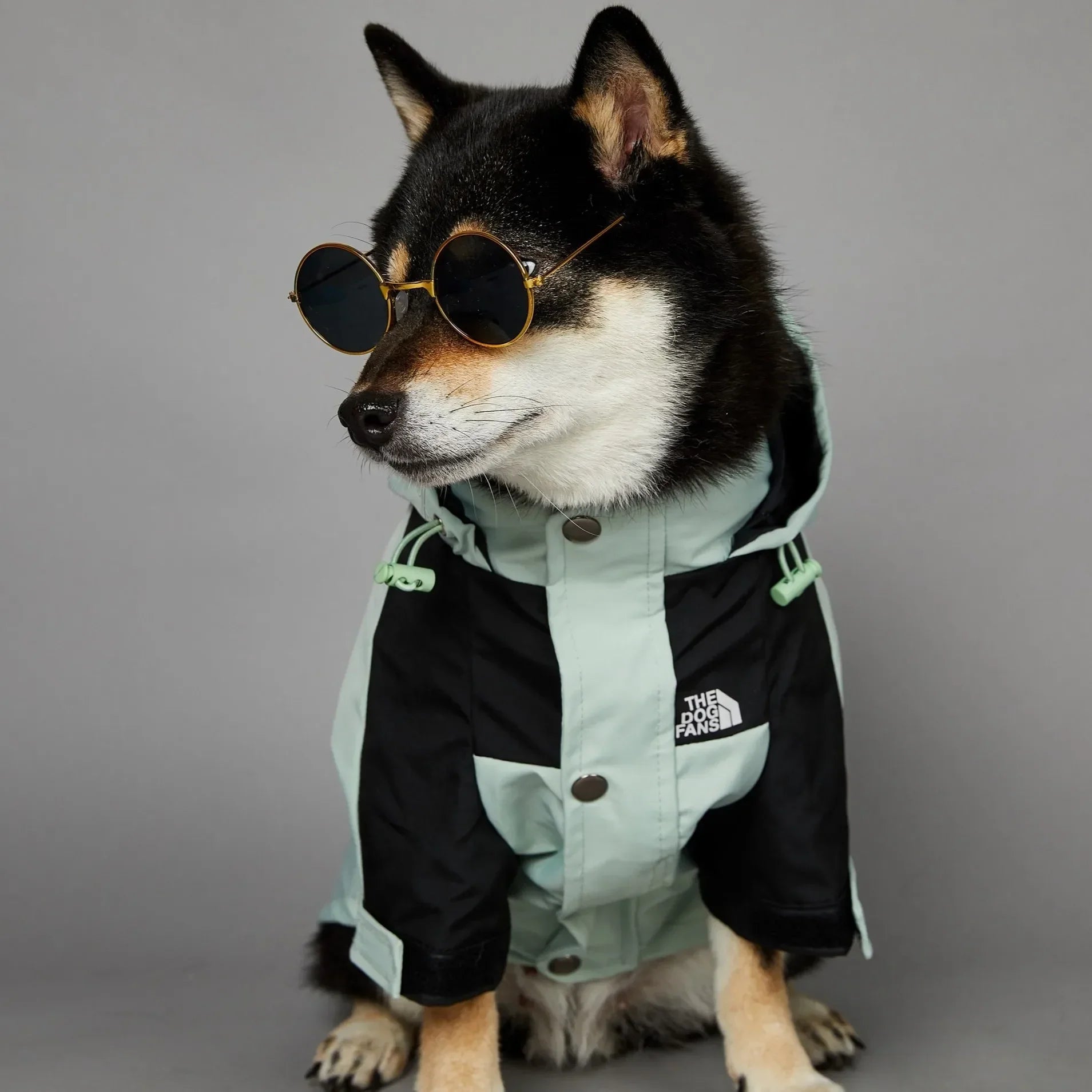 Cute Waterproof Dog Raincoat Jacket S-5XL Small to Large | Dog Clothes