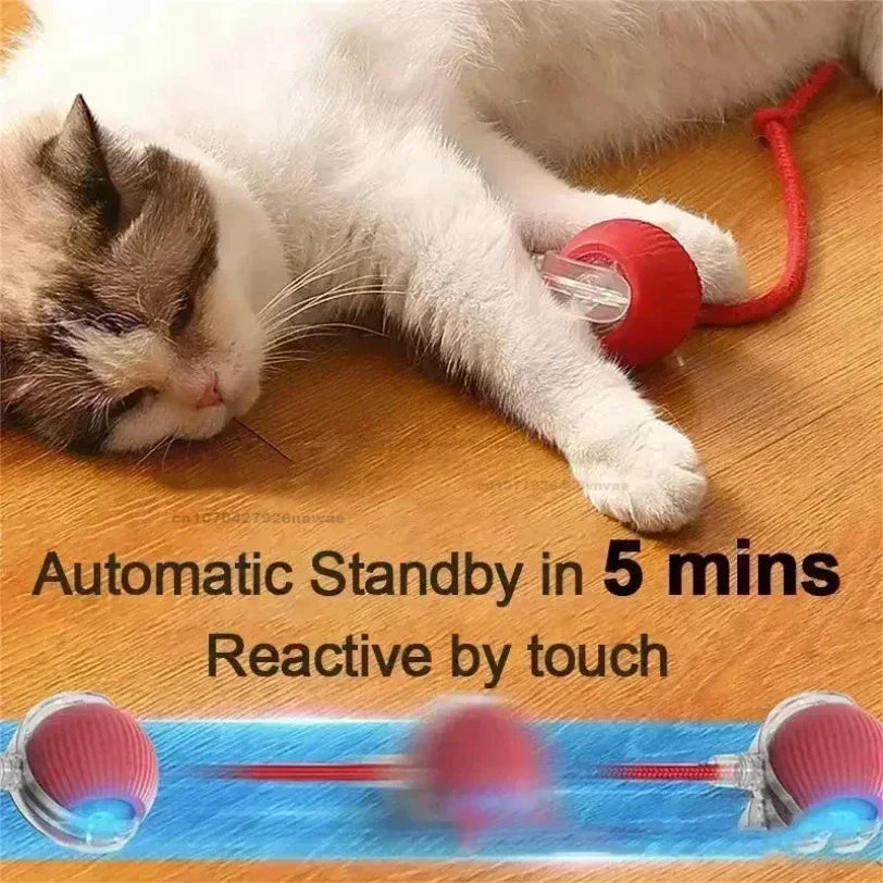 Interactive Auto-Rolling Pet Ball Toy
