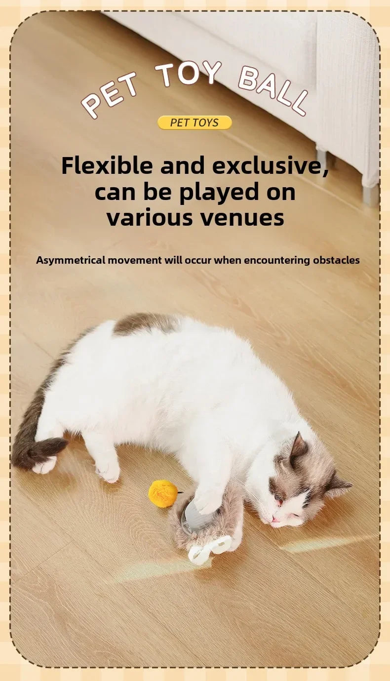 Interactive Auto-Rolling Pet Ball Toy