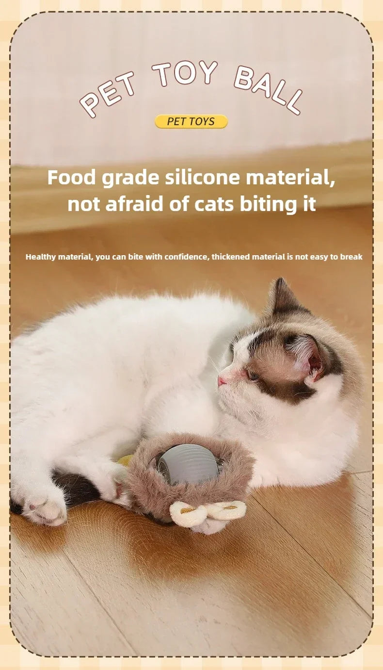 Interactive Auto-Rolling Pet Ball Toy