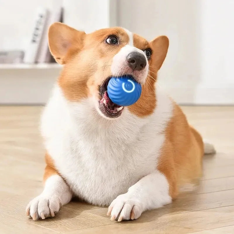 Smart Dog Ball Treat-Dispensing Toy