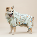 RainShell Blue Dog Suit