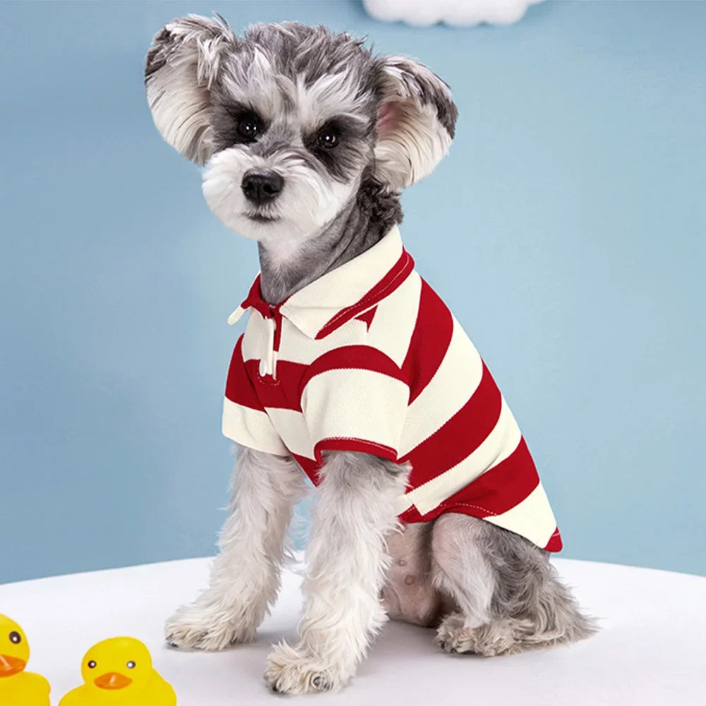 Casual Pet T-Shirt for All Dogs | Stylish & Comfortable Wear