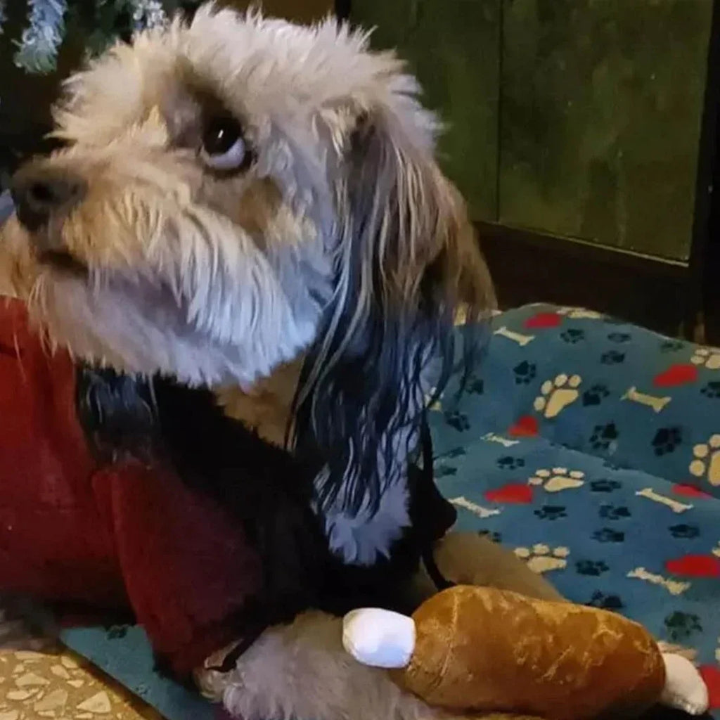7-Piece Puppy Squeaky Toy Set