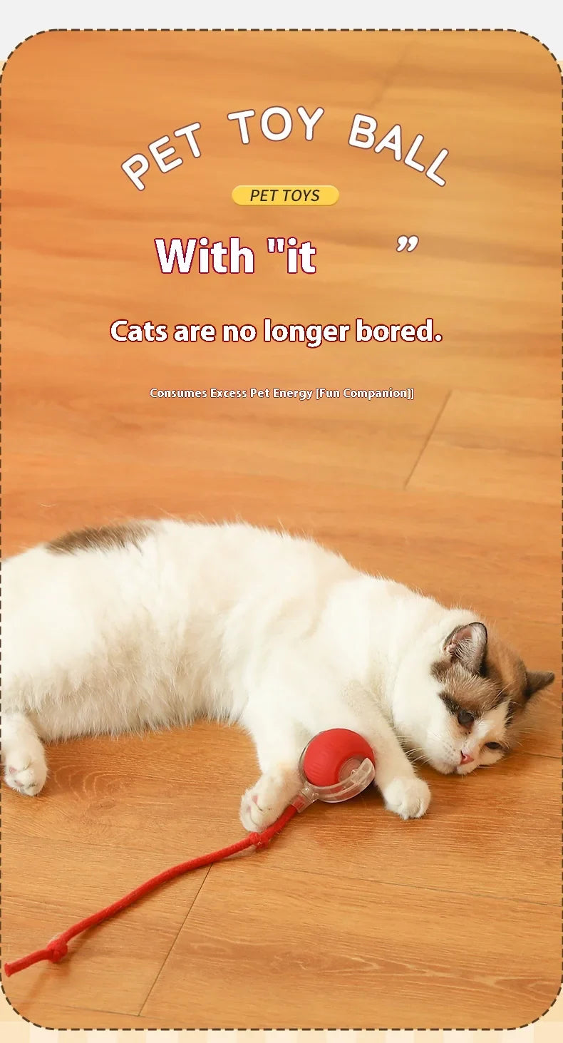 Electric Auto-Rolling Cat Ball Toy