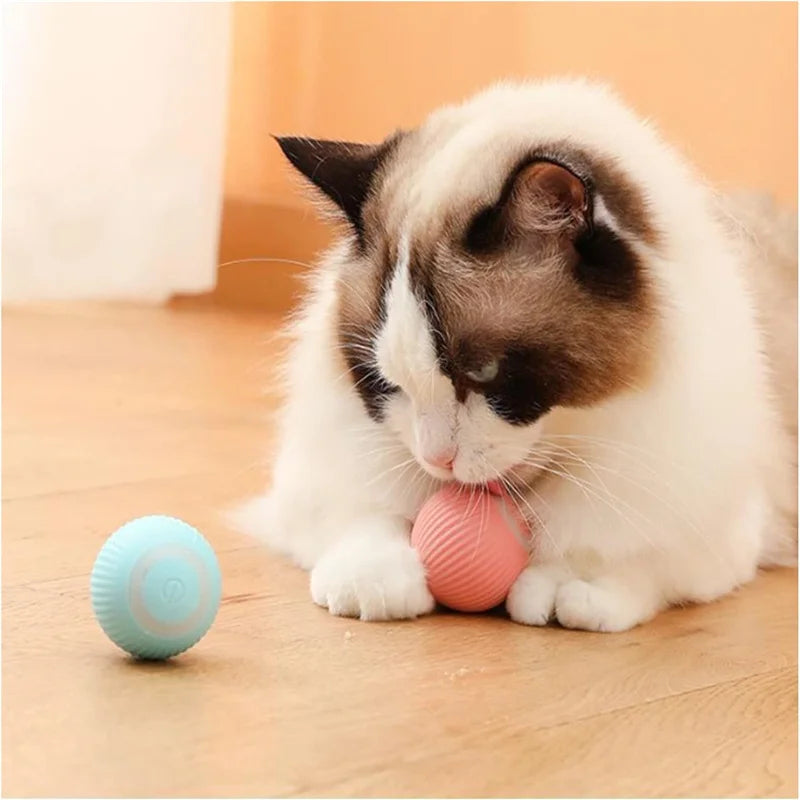 Smart Dog Ball Treat-Dispensing Toy