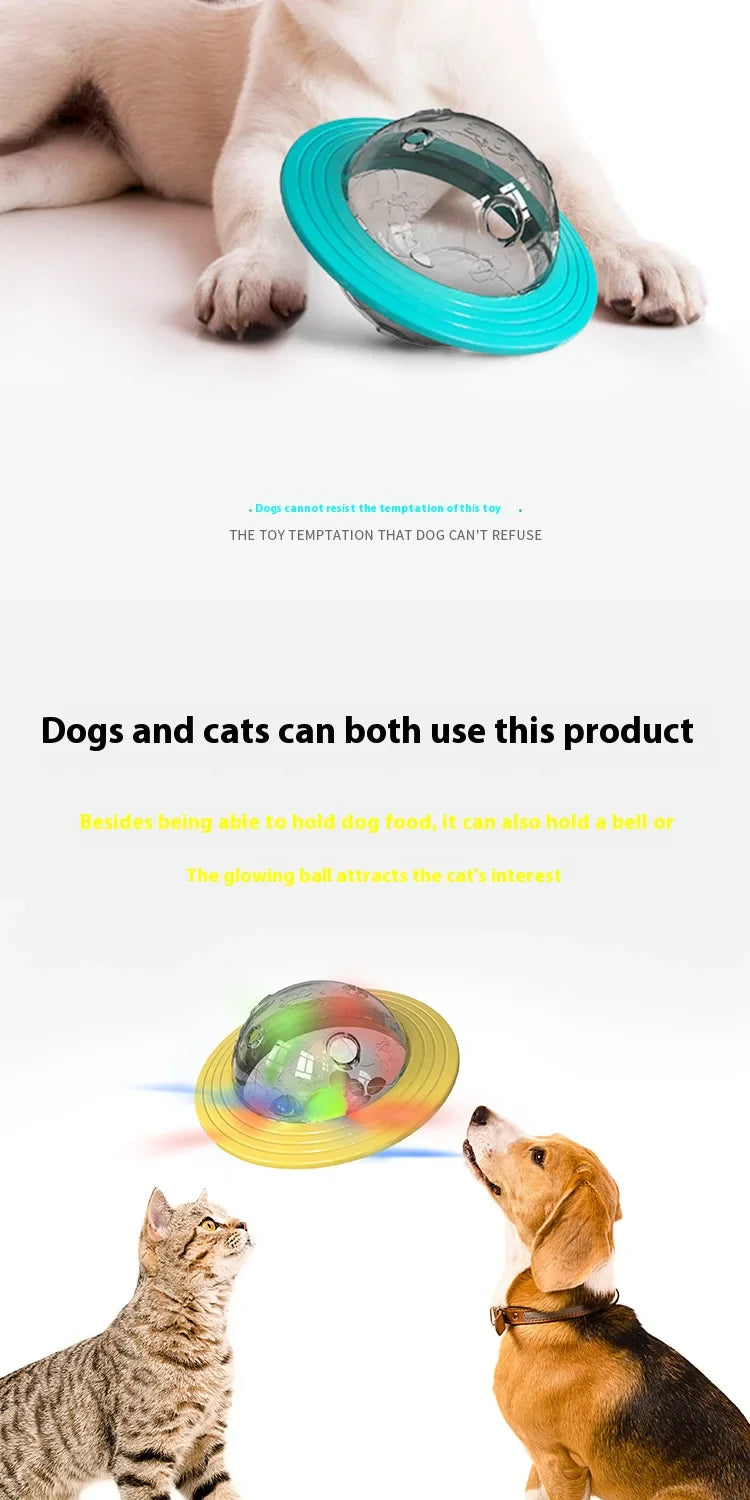 Flying Saucer Chew-Proof Dog Toy