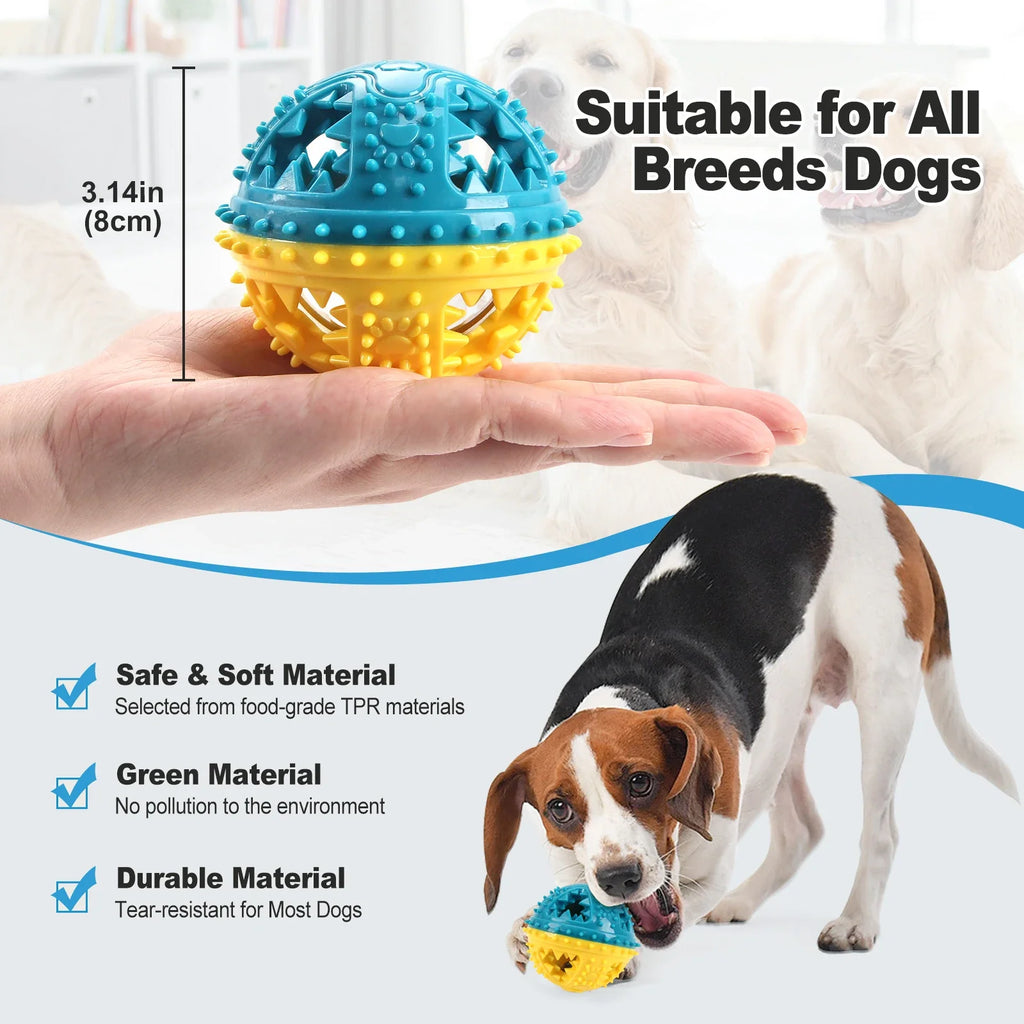 Dog Squeaky Chew Ball