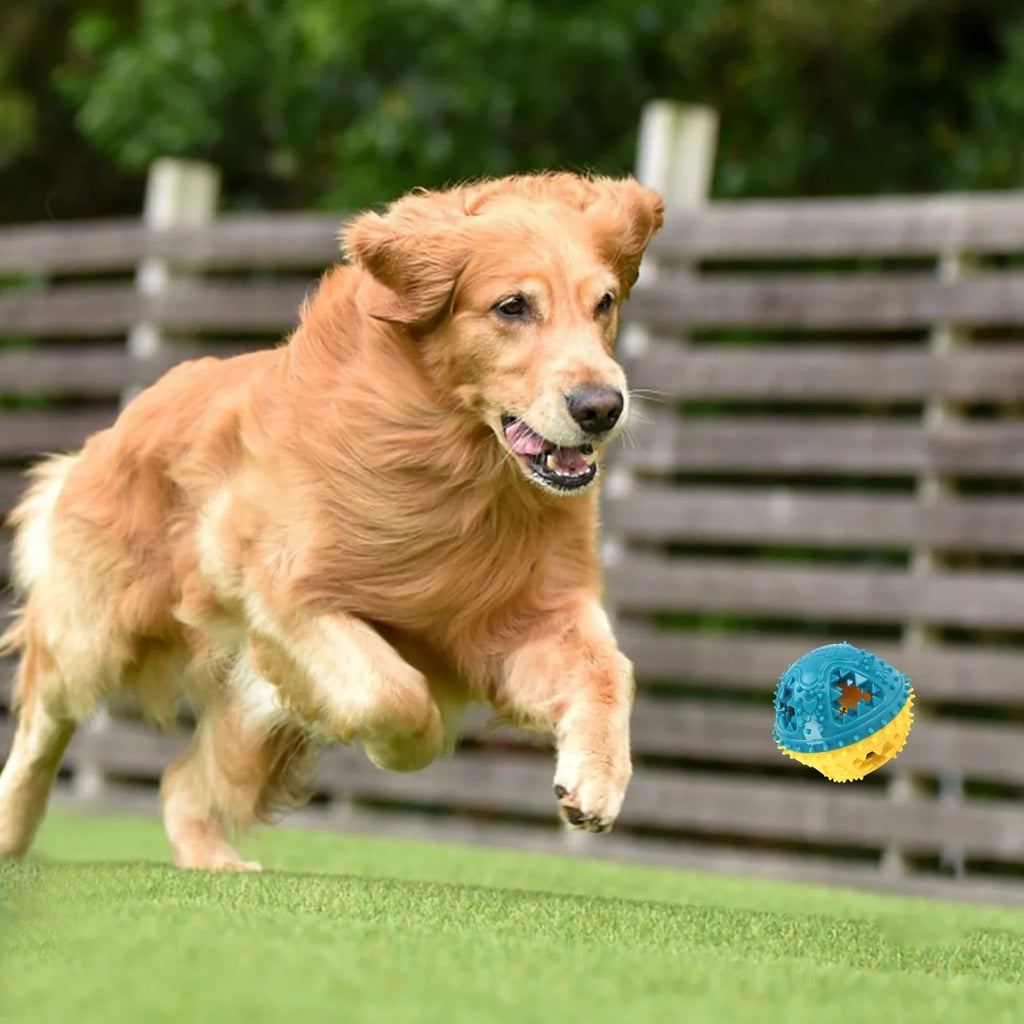 Dog Squeaky Chew Ball