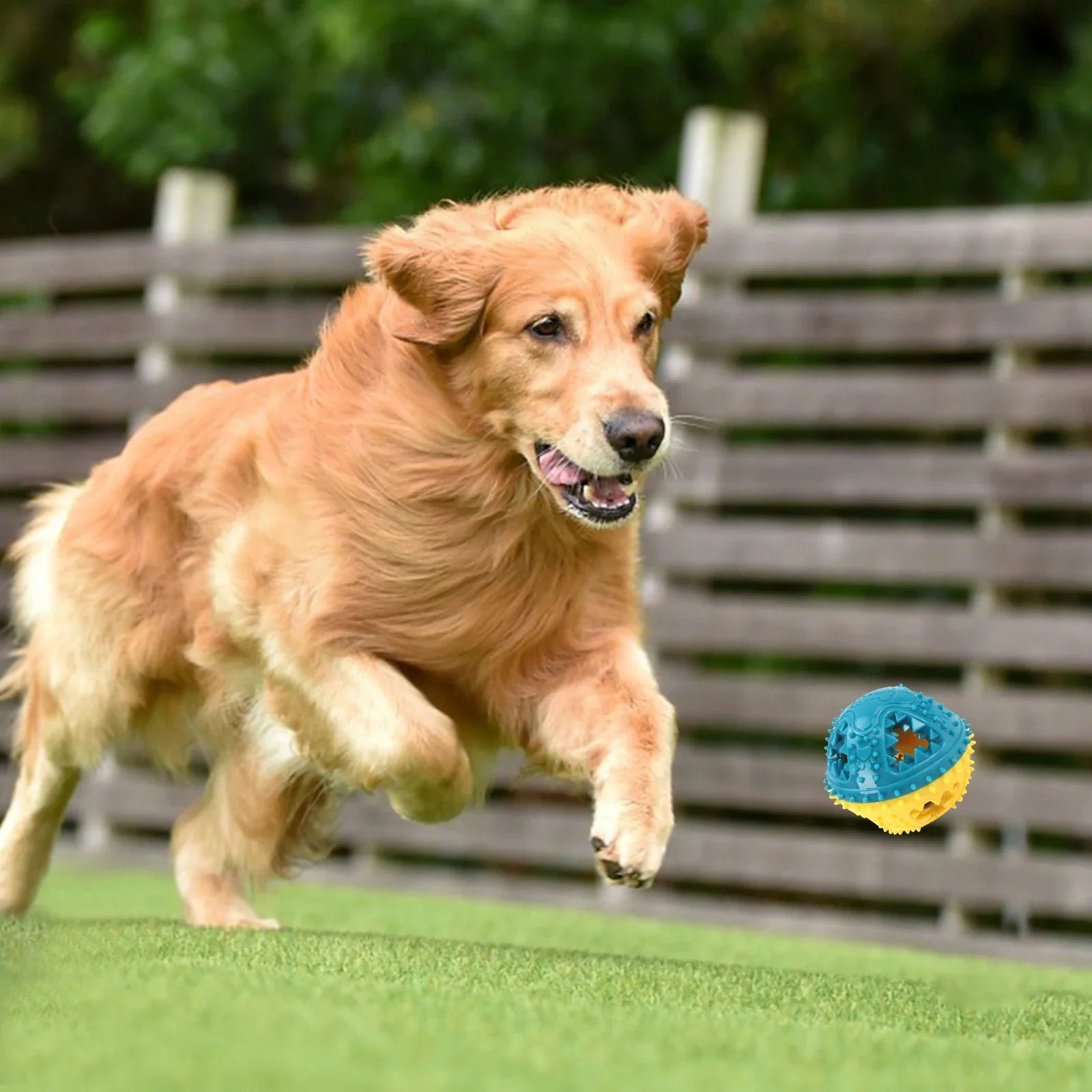 Dog Squeaky Chew Ball