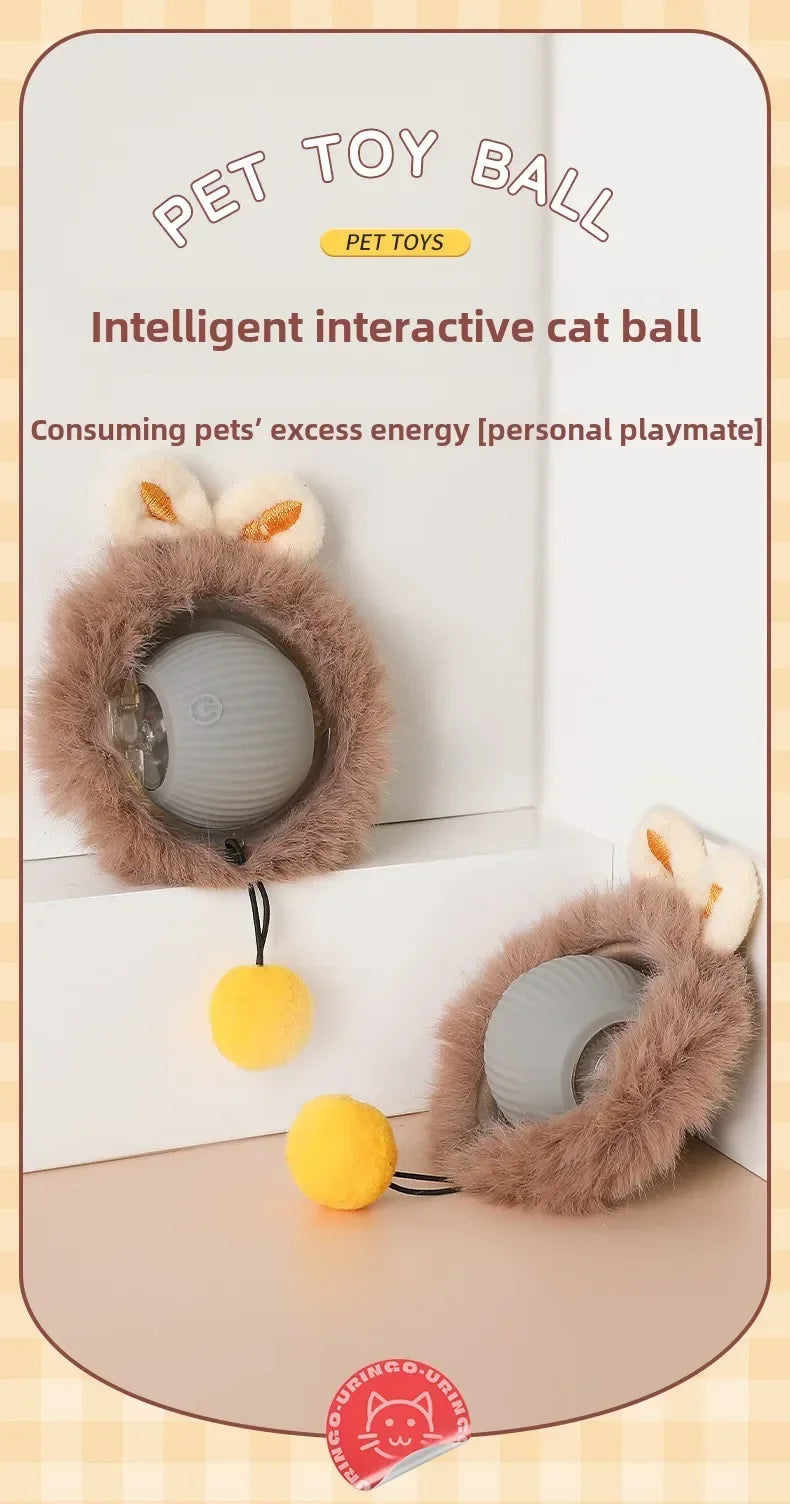 Interactive Auto-Rolling Pet Ball Toy