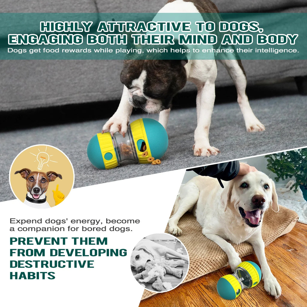 Pet Treat Dispenser Ball