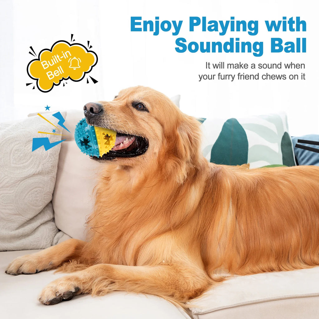 Dog Squeaky Chew Ball
