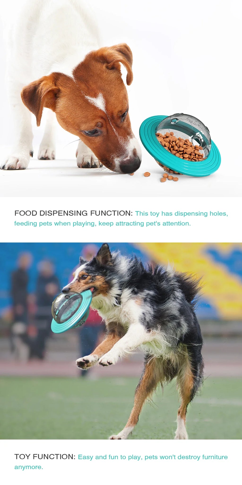 Pet Treat Feeder Toy