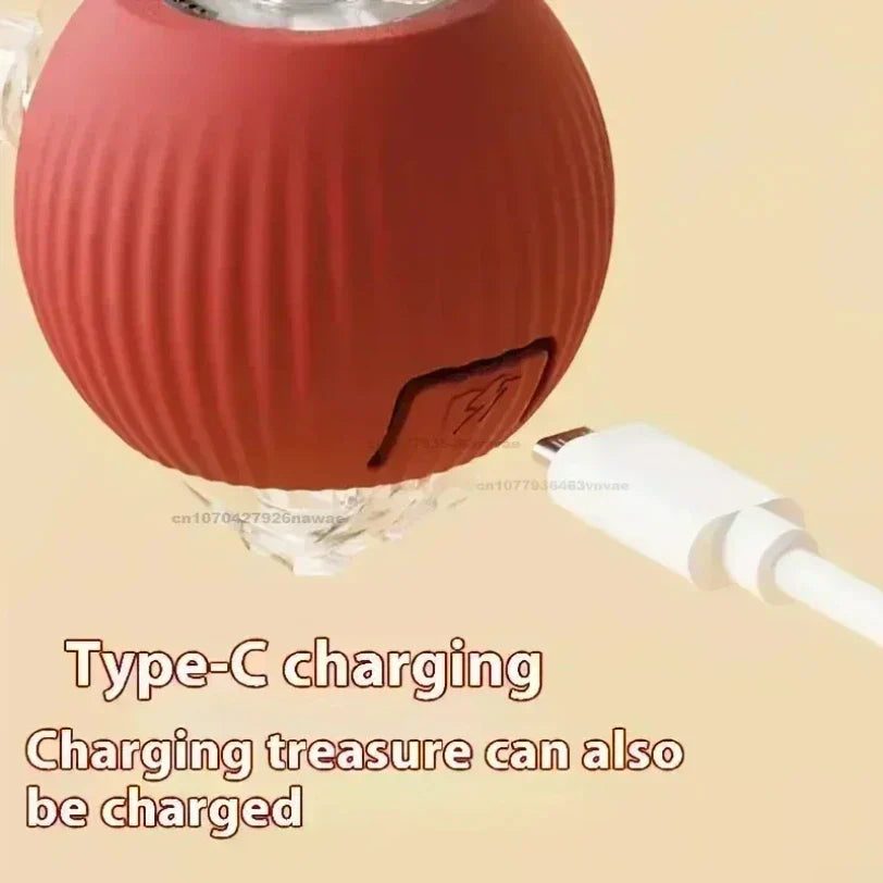 Interactive Auto-Rolling Pet Ball Toy
