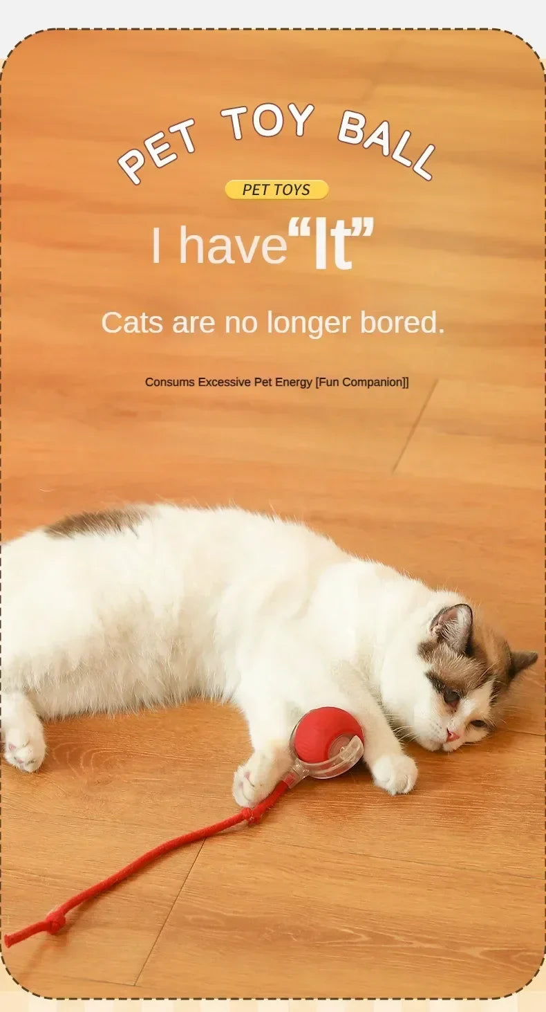 Interactive Auto-Rolling Pet Ball Toy