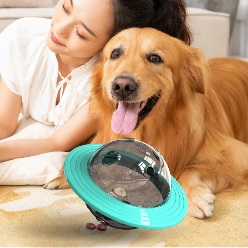 Flying Saucer Chew-Proof Dog Toy
