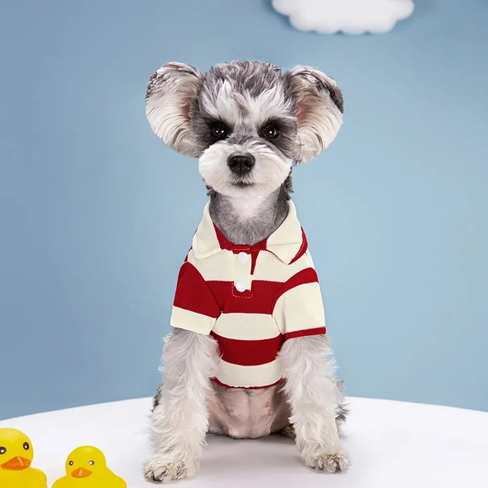 Casual Pet T-Shirt for All Dogs | Stylish & Comfortable Wear