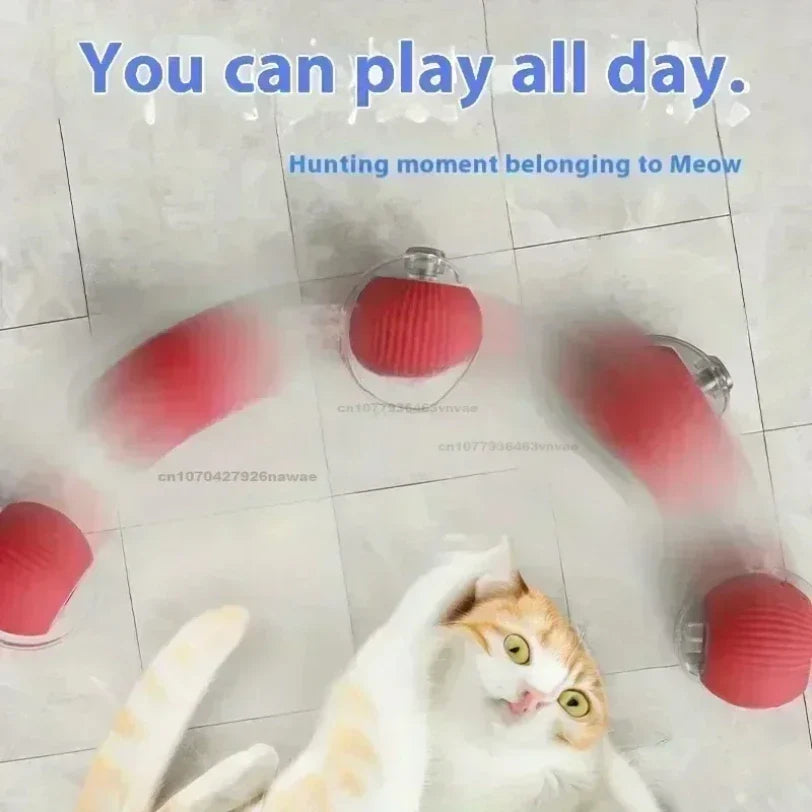 Interactive Auto-Rolling Pet Ball Toy