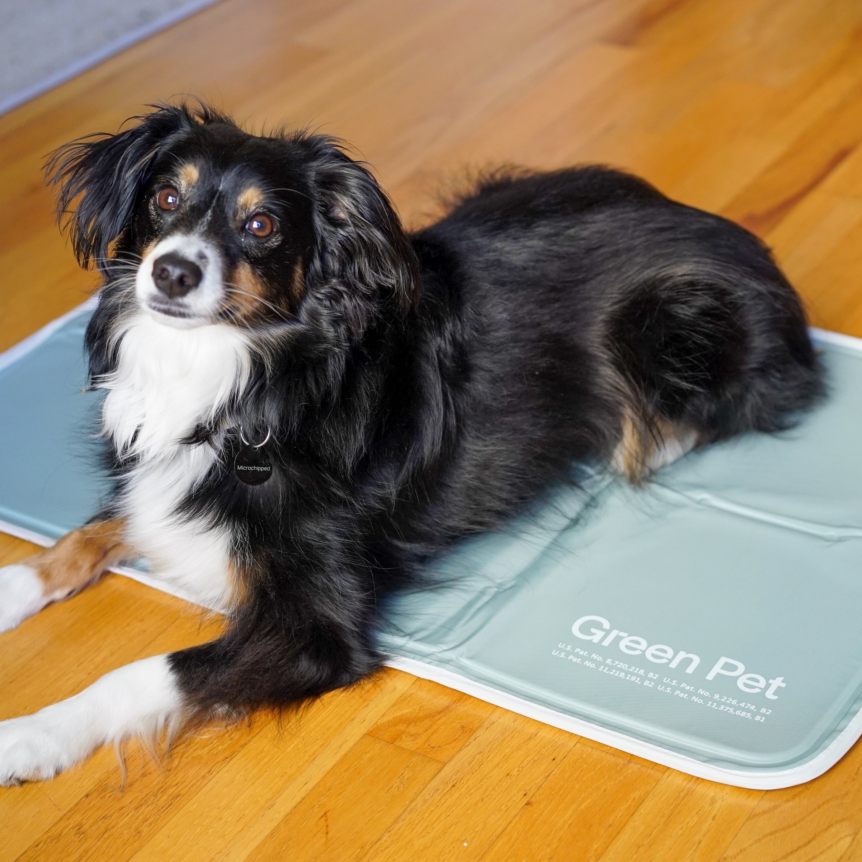 Cool Pet Pad